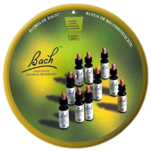 Alerce - Larch